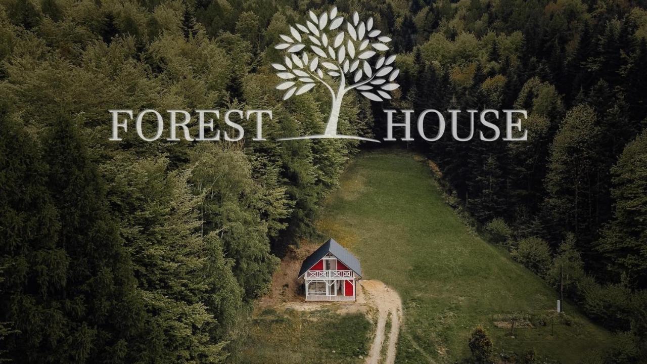Forest House Targanice Exteriér fotografie