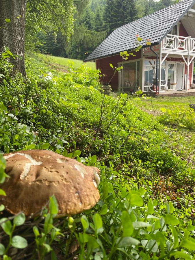 Forest House Targanice Exteriér fotografie