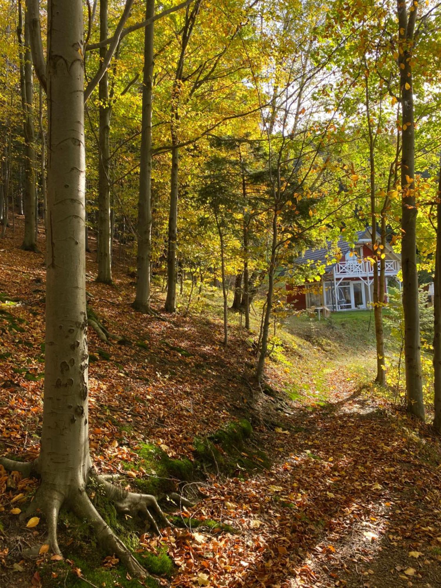 Forest House Targanice Exteriér fotografie