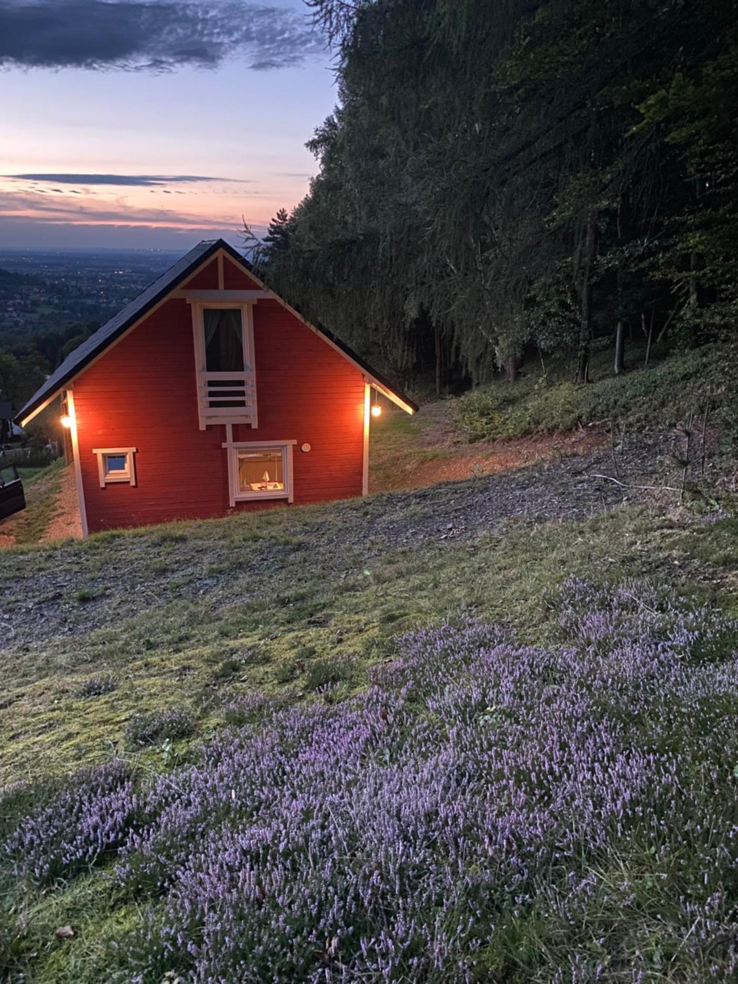 Forest House Targanice Exteriér fotografie